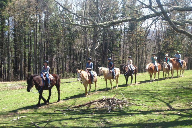 Guided Horseback Ride through Flame Azalea and Fern Forest - Final Thoughts: Is it Worth It?