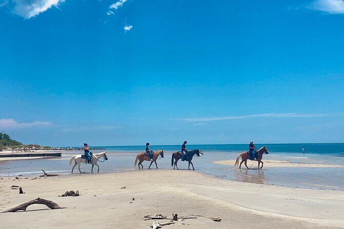 Guided Horseback Riding on The Pristine Waters of Miami Florida - Guided Horseback Riding on The Pristine Waters of Miami Florida: An In-Depth Review