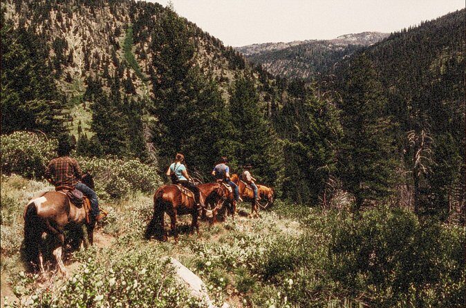 Guided Horseback Trail Rides - FAQ