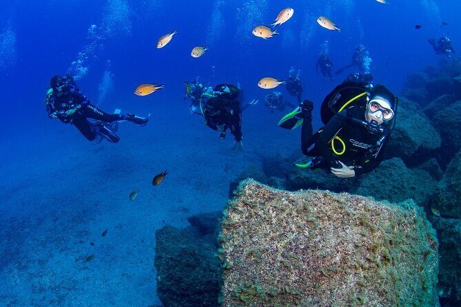 Guided Immersion from Santa Cruz de Tenerife - Why Choose This Tour?