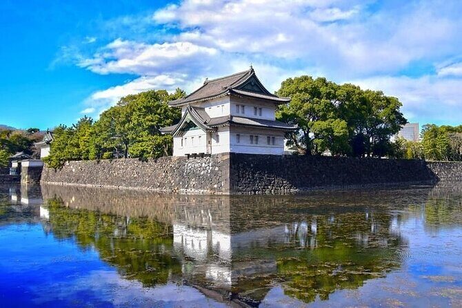 Guided Imperial Palace and Guided Tokyo City Private Day Trip - A Deep Dive into the Tour Experience