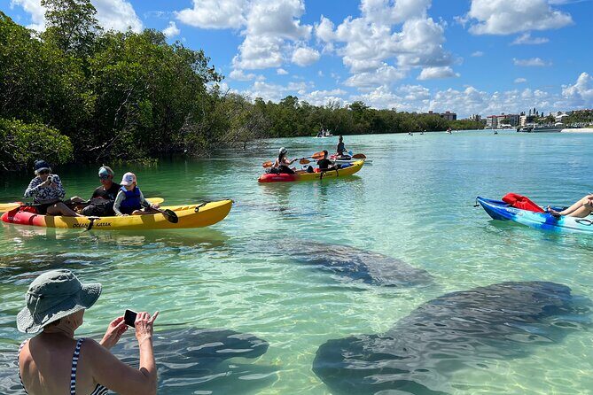 Guided Island EcoTour: CLEAR/Standard Kayak, SUP - Bonita Springs - Key Points