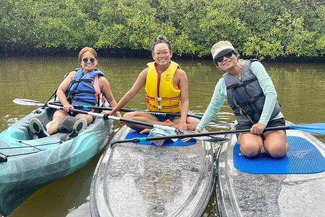 Guided Island EcoTour: CLEAR/Standard Kayak, SUP - Bonita Springs - The Experience in Detail