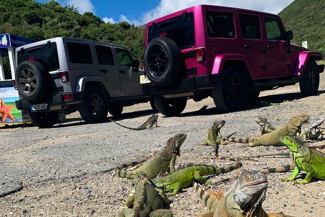 Guided Jeep Tour Exploring French and Dutch St Maarten - A Detailed Breakdown of the Itinerary