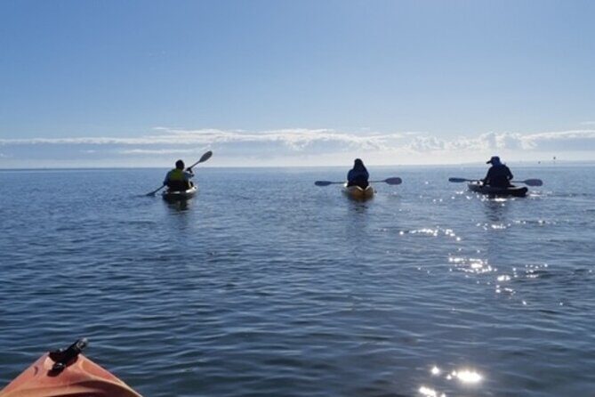 Guided Kayak Adventure Tour - A Detailed Look at the Guided Kayak Adventure