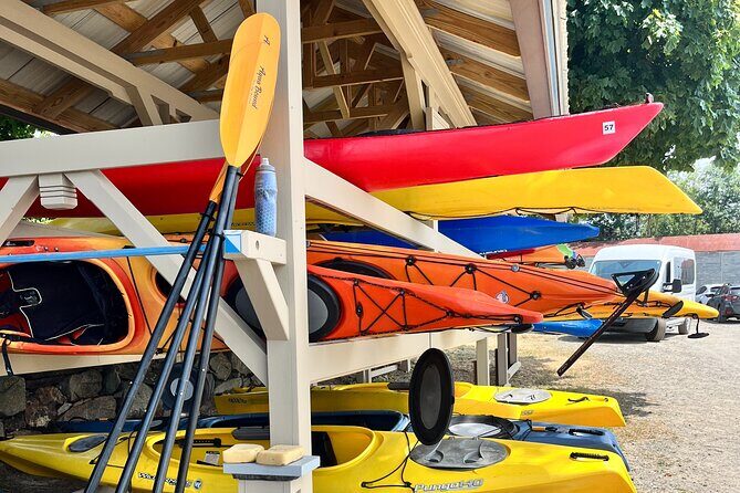 Guided Kayak at the Crane Estate - The Sum Up: Who benefits most from this experience?