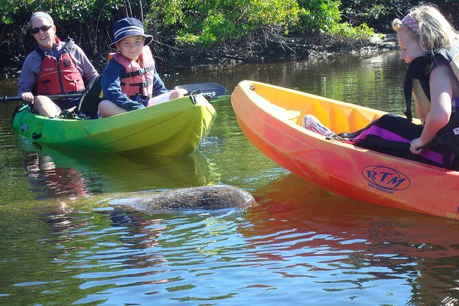 Guided Kayak Eco Tour - Bunche Beach - A Detailed Look at the Guided Kayak Eco Tour
