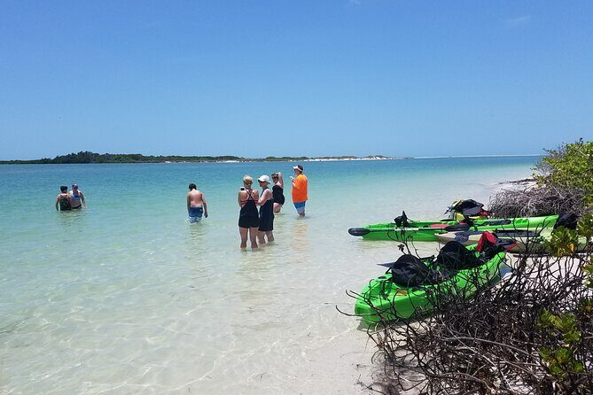 Guided Kayak EcoTour of Beautiful Shell Key Preserve - What We Appreciate and What to Watch Out For