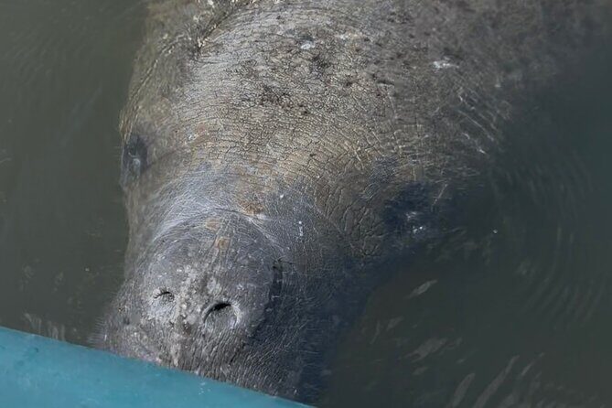 Guided Kayak Experience at EG Simmons Park - A Detailed Look at What to Expect