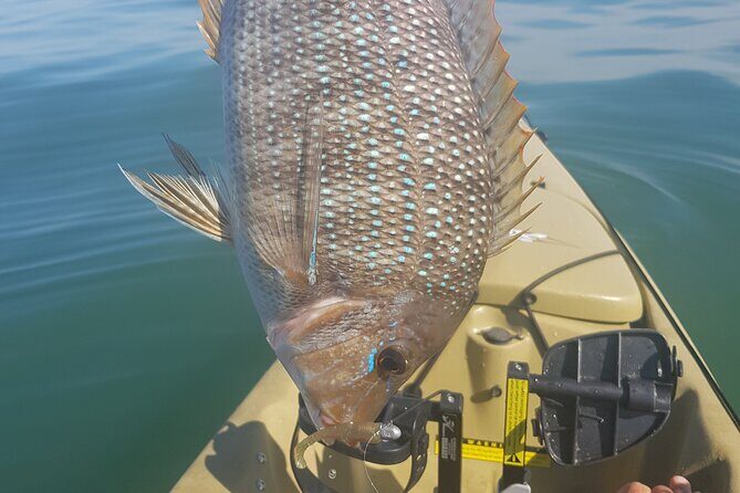 Guided Kayak Fishing - What Past Participants Say