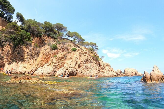 Guided Kayak & Snorkel tour to Costa Brava: Small Group and Lunch - Key Points