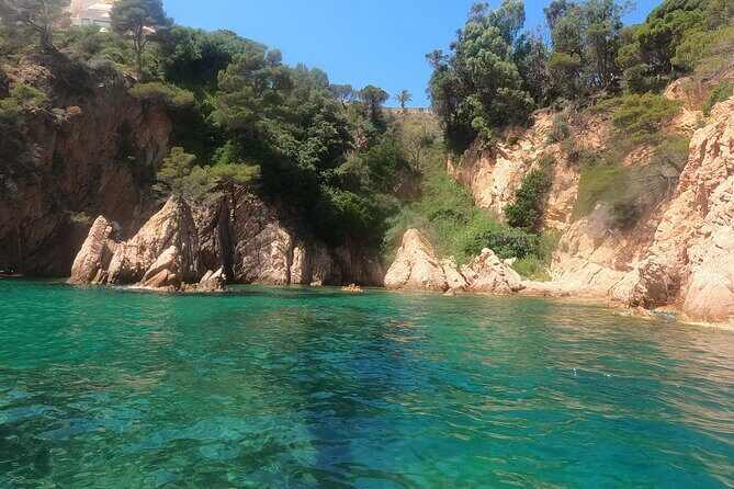 Guided Kayak & Snorkel tour to Costa Brava: Small Group and Lunch - Who Would Enjoy This Tour?