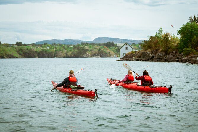 Guided Kayak Tour Bergen - A Deep Dive into the Bergen Guided Kayak Tour Experience
