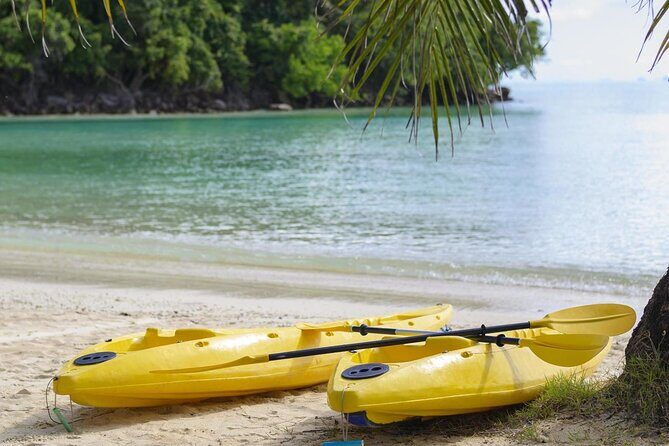 Guided Kayak Tour from Elysian - A Detailed Look at the Guided Kayak Tour from Elysian
