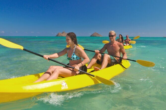 Guided Kayak Tour from Elysian - Who Should Consider This Tour?