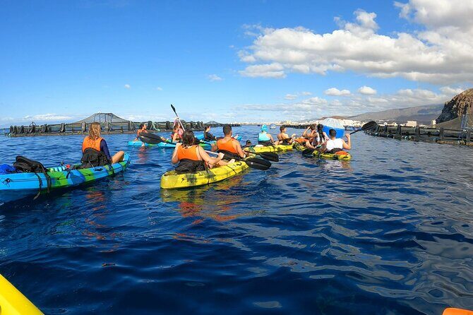 Guided Kayak Tour From Los Cristianos Beach Tenerife - Guided Kayak Tour From Los Cristianos Beach Tenerife