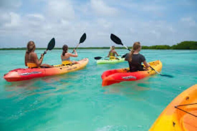 Guided Kayak Tour from Margaritaville - Key Points