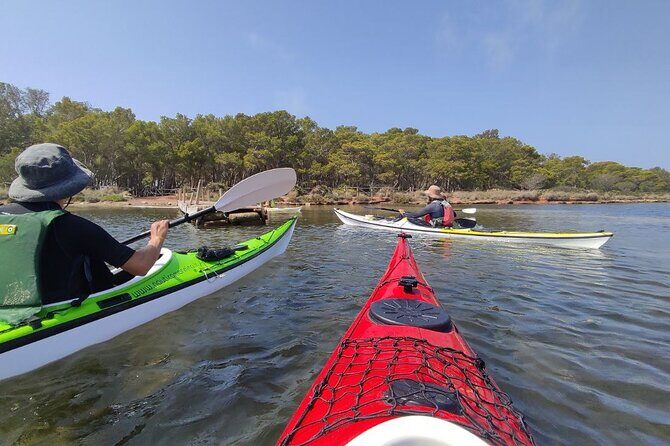 Guided kayak tour inside the Stagnone of Marsala - The Unique Appeal of the Stagnone Experience