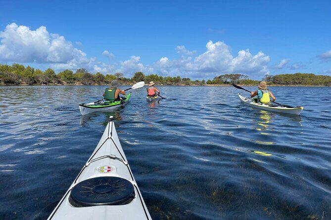 Guided kayak tour inside the Stagnone of Marsala - Why We Think This Tour Offers Good Value