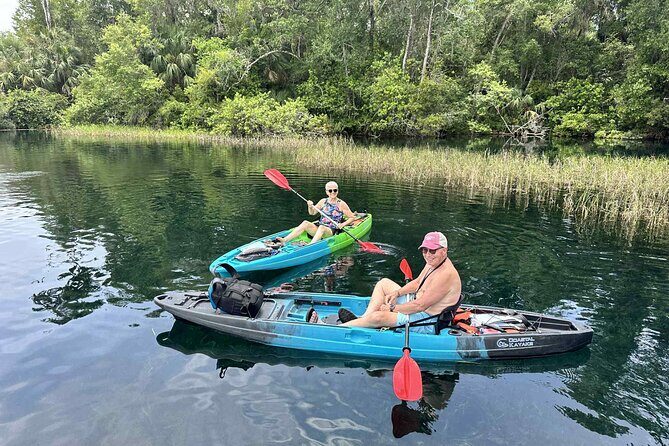 Guided Kayak Tour of Crystal Rivers Springs and Wildlife - Key Points