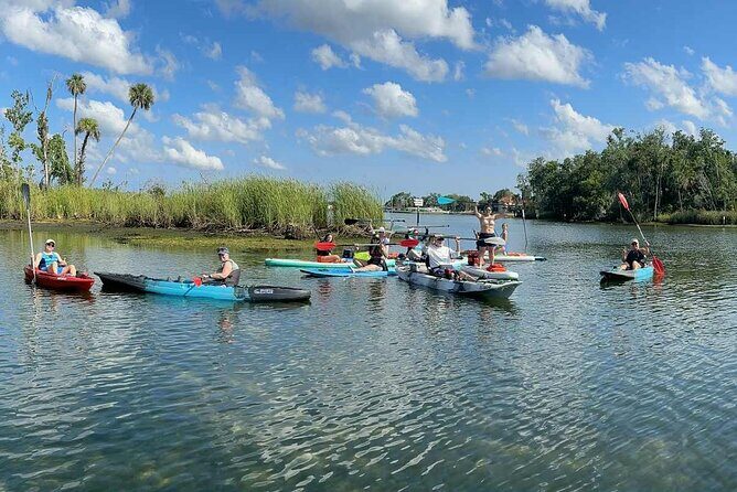 Guided Kayak Tour of Crystal Rivers Springs and Wildlife - Exploring the Crystal River Kayak Experience in Depth