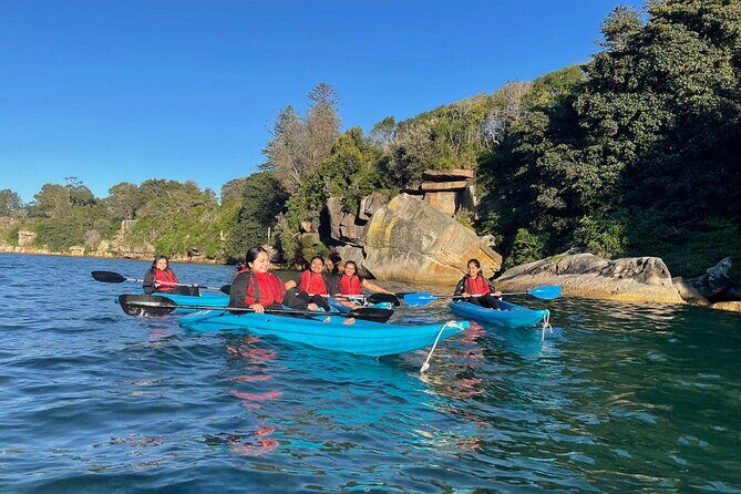 Guided Kayak Tour of Manly Cove Beaches - Guided Kayak Tour of Manly Cove Beaches: A Balanced Look at a Beautiful Sydney Adventure
