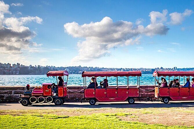 Guided Kayak Tour of Manly Cove Beaches - Who Will Love This Tour?
