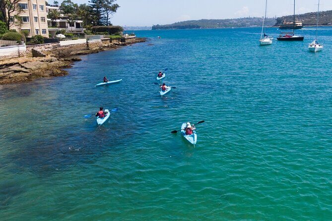 Guided Kayak Tour of Manly Cove Beaches - FAQ: Practical Questions About the Manly Cove Kayak Tour