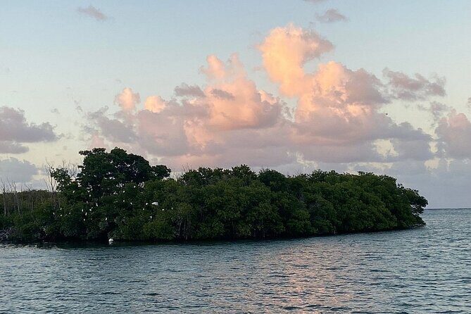 Guided Kayak Tour of Salt River Bay Ecology and History - Key Points