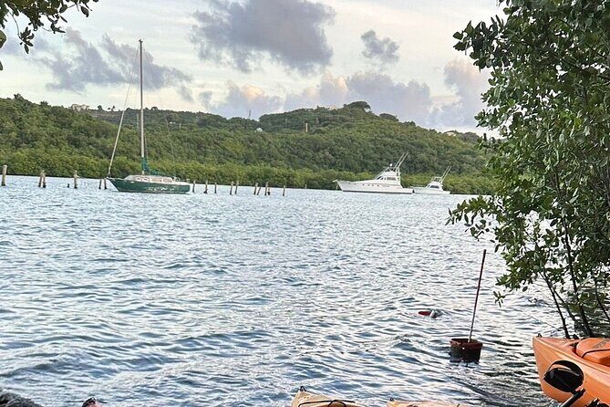 Guided Kayak Tour of Salt River Bay Ecology and History - Who This Tour Is Perfect For