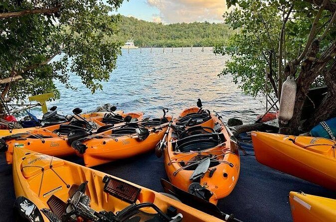 Guided Kayak Tour of Salt River Bay Ecology and History - Frequently Asked Questions