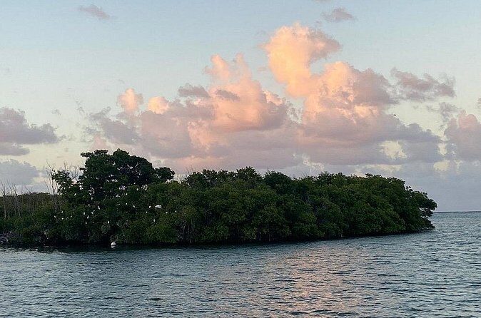 Guided Kayak Tour of Salt River Bay Ecology and History - Final Thoughts