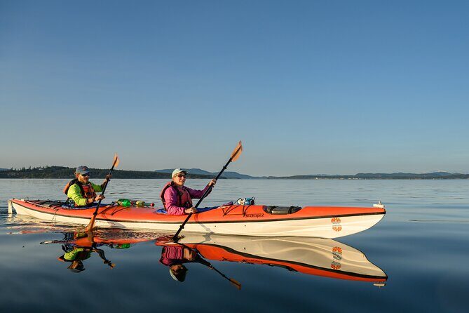 Guided Kayak Tour on San Juan Island - Key Points