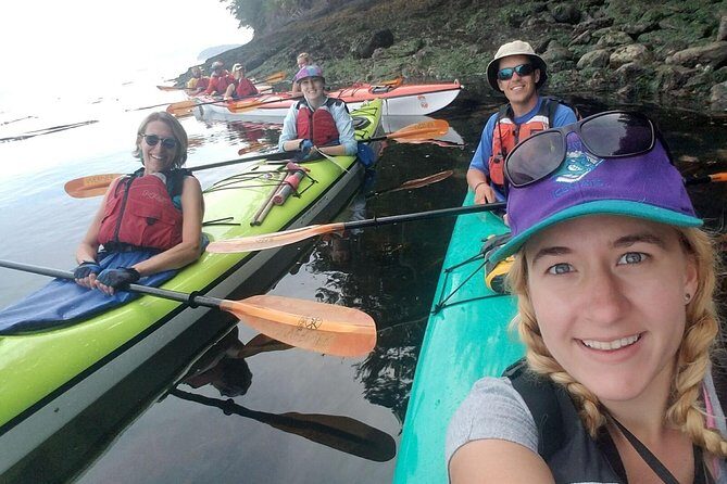 Guided Kayak Tour on San Juan Island - An In-Depth Look at the Guided Kayak Tour