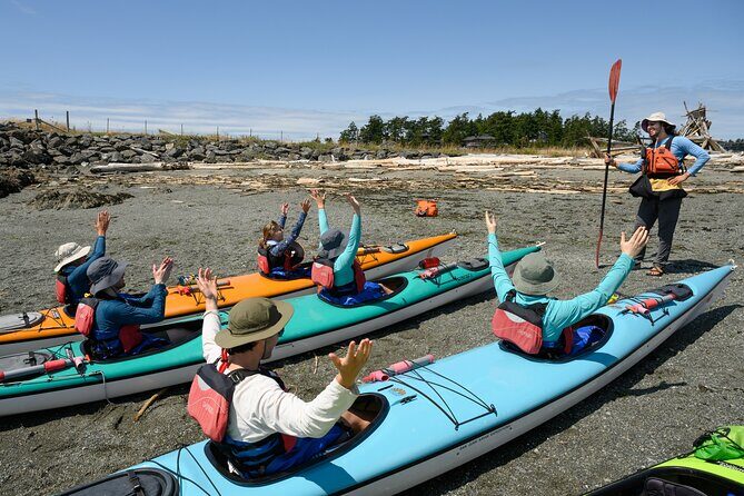 Guided Kayak Tour on San Juan Island - Frequently Asked Questions