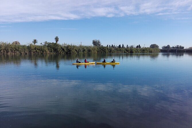 Guided Kayak Tour to Gracia Island - Final Thoughts