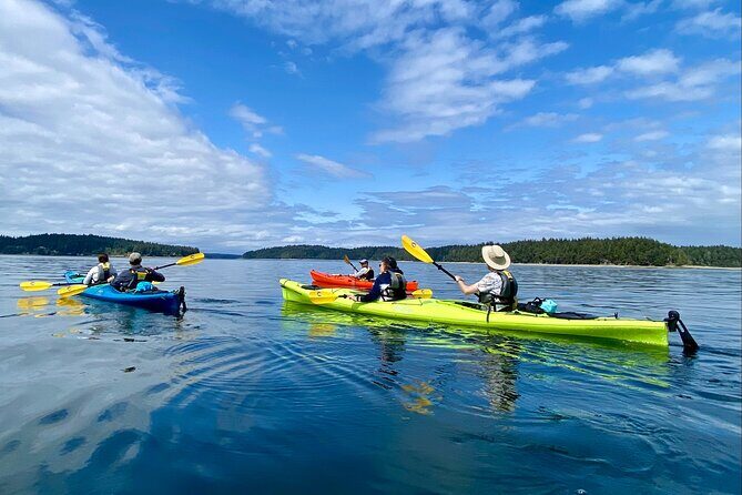 Guided Kayak Tour To Hope Island State Park - Exploring the Guided Kayak Tour to Hope Island State Park: An Authentic Puget Sound Adventure