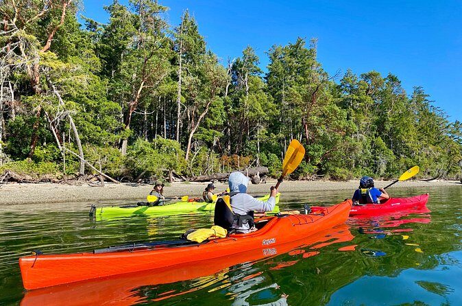 Guided Kayak Tour To Hope Island State Park - Final Thoughts: Who Will Love This Tour?