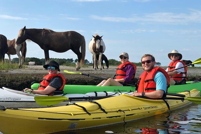 Guided Kayak Tour to see ponies, birds, dolphins and more - Frequently Asked Questions