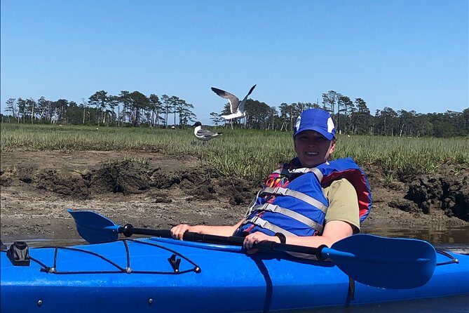 Guided Kayak Tour to see ponies, birds, dolphins and more - Final Thoughts