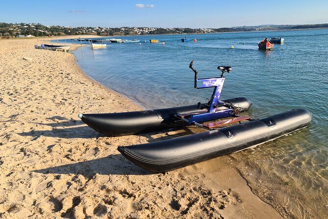 Guided Kayak Tours in the Óbidos lagoon - Key Points