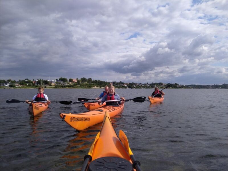 Guided kayaking on Roskilde Fjord: Private tour - Guided Kayaking on Roskilde Fjord: Private Tour