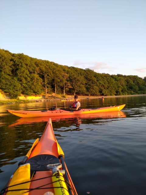Guided kayaking on Roskilde Fjord: Private tour - What’s Included and What Not