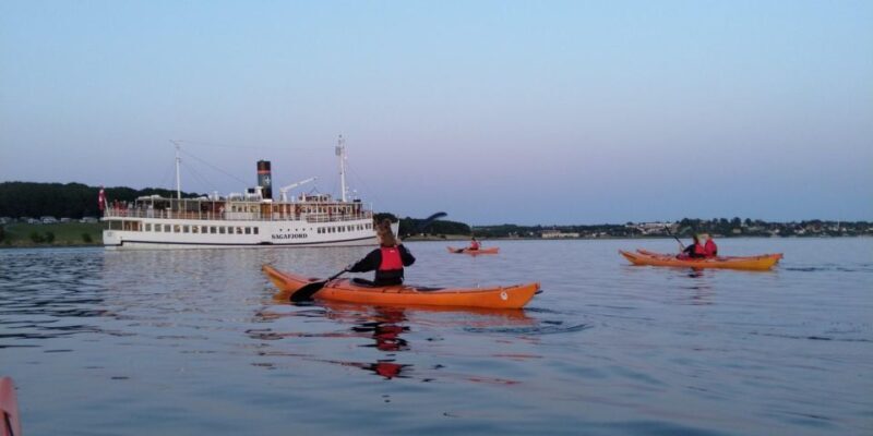 Guided kayaking on Roskilde Fjord: Private tour - Who Will Love This Tour?