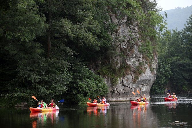 Guided kayaking on the Nalón river Oviedo - The Sum Up