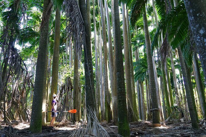 Guided Kayaking Tour of the Mitan Pond and its Mangrove - Final Thoughts
