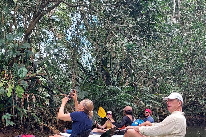Guided Kayaking Tour to Punta Uva River with Nature and Swimming - A Practical Guide to the Guided Kayaking Tour in Punta Uva