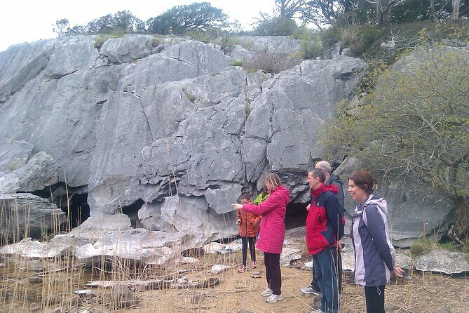 Guided Killarney National Park Walking Tour - The Itinerary in Detail: What to Expect on Your Walk