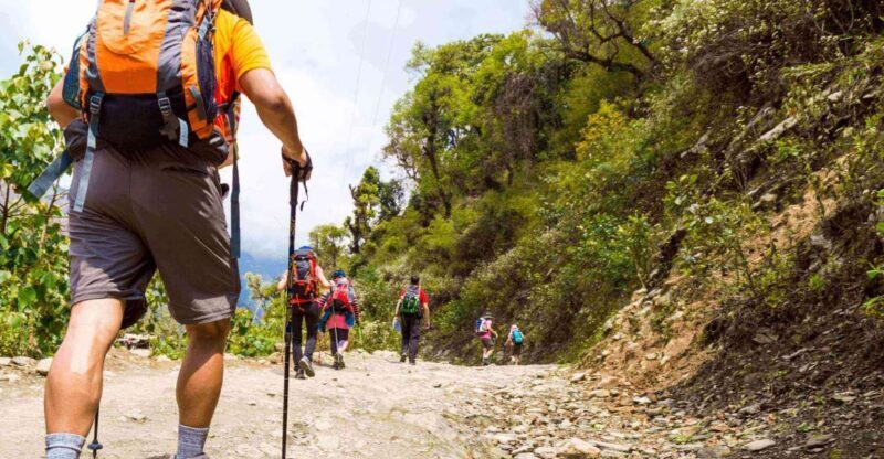 Guided Lama Dugh Hike in Manali - Key Points