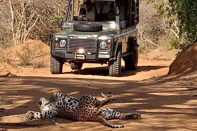 Guided Leopard Safari in Yala National Park in a Land Rover Defender - What Travelers Say: Authentic Experiences and Expert Guides